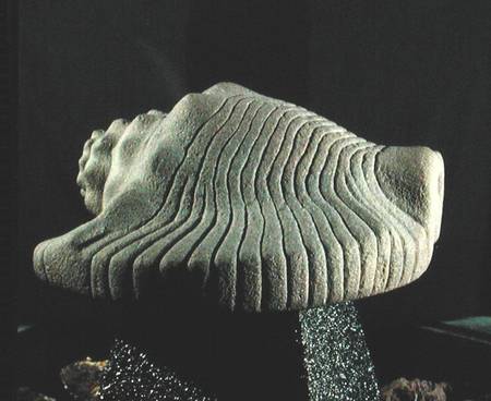 Sea Snail Shell de Aztec
