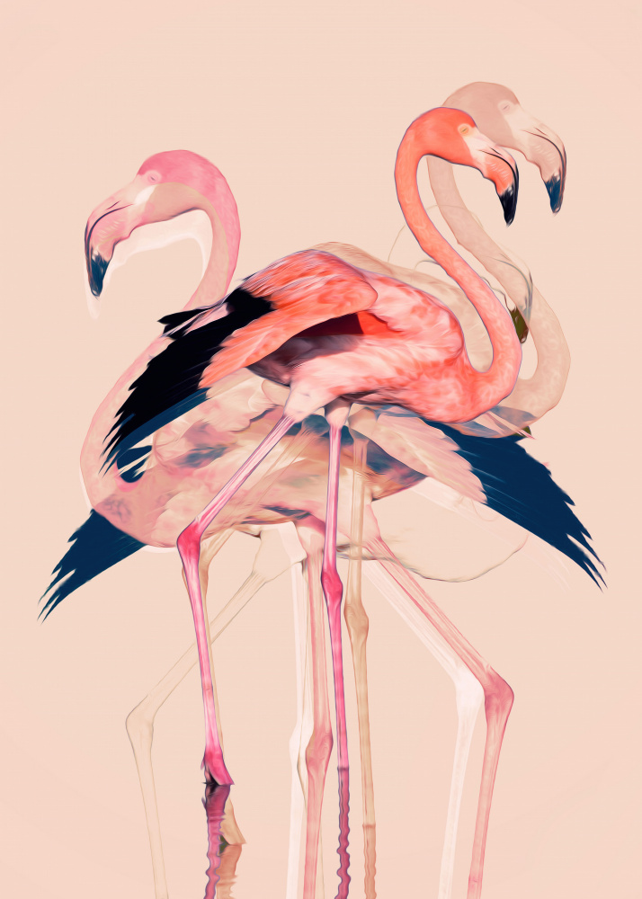 Flamingos nr. 3 de Baard Martinussen