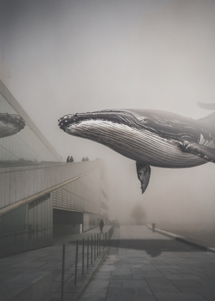 Whale nr. 28 de Baard Martinussen