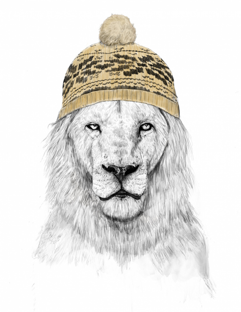 Winter Lion de Balazs Solti