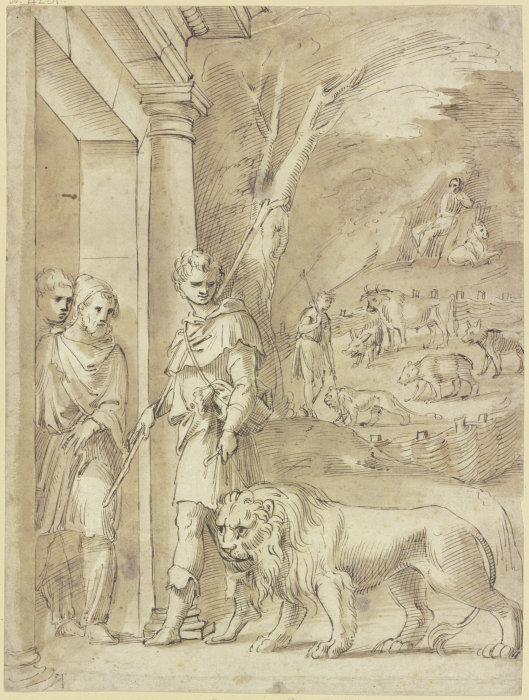Androcles and the lion de Baldassare Peruzzi