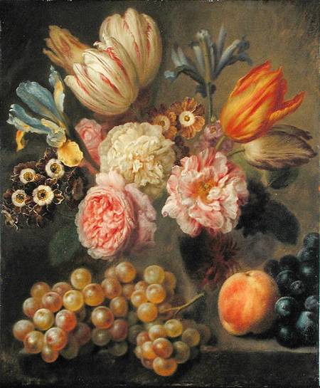 Flower Study de Balthasar Denner