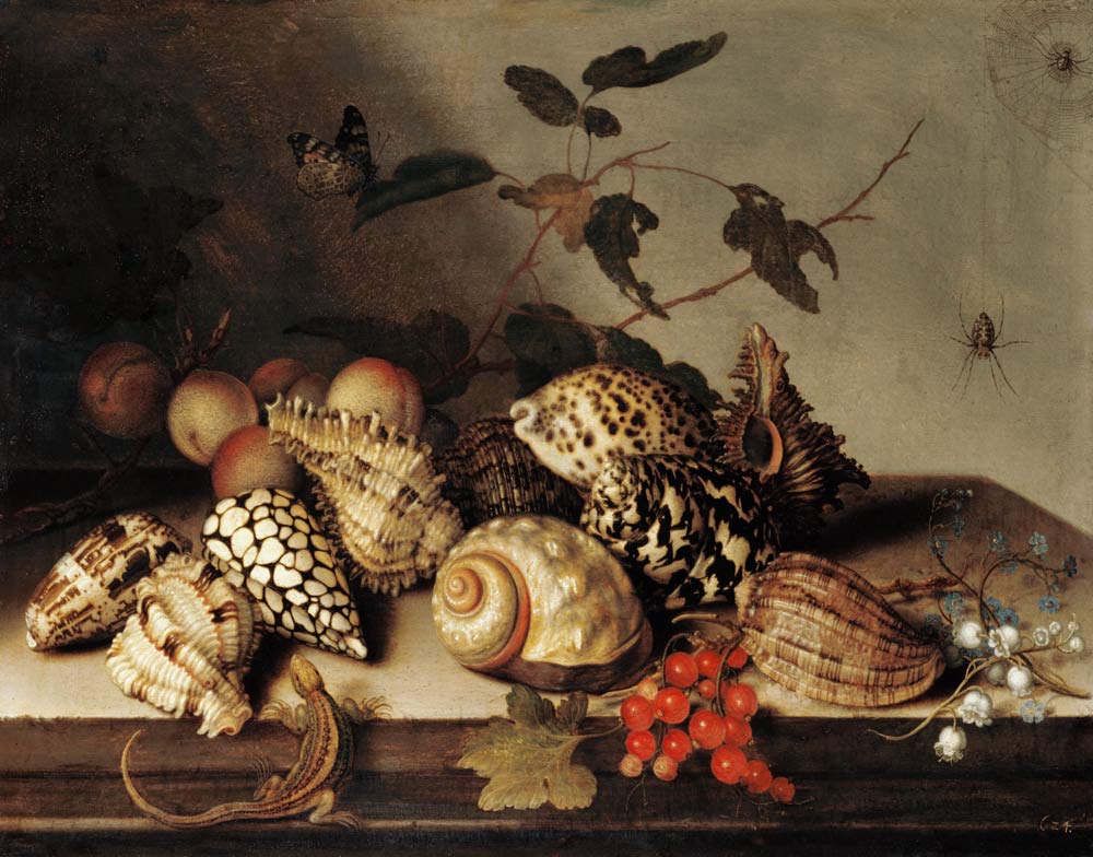 Mussels and fruits de Balthasar van der Ast