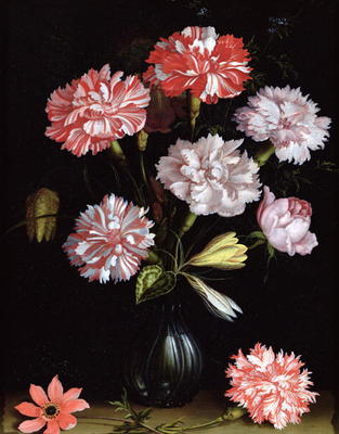 Floral Study: Carnations in a Vase (oil on panel) de Balthasar van der Ast