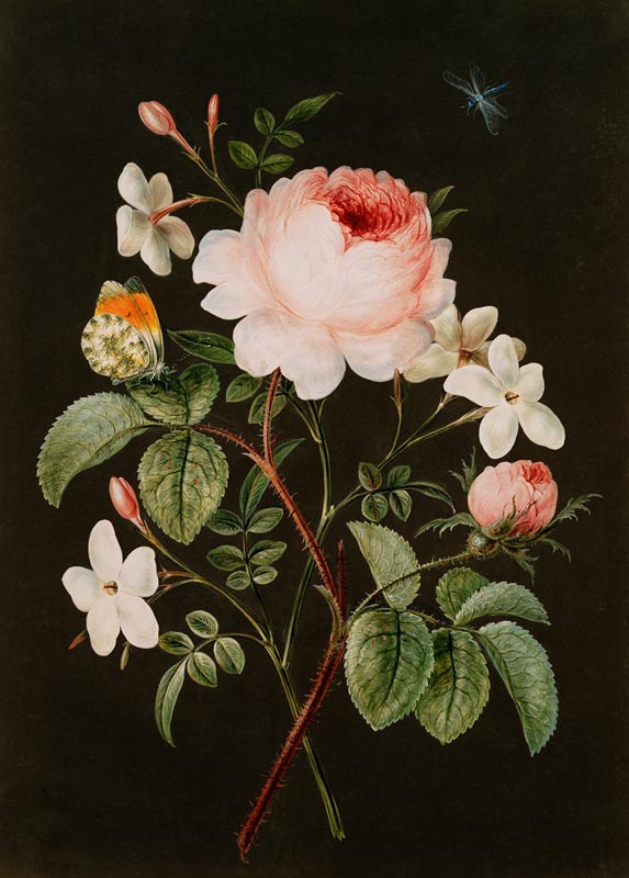 Rose and jasmine flower arrangement de Barbara Regina Dietzsch