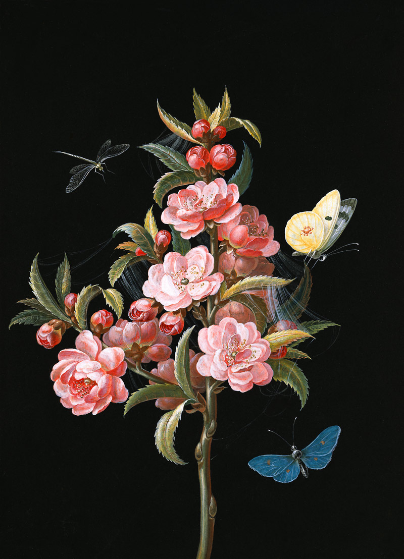 Japanese quince (or cherry) with dragon-fly and bu de Barbara Regina Dietzsch