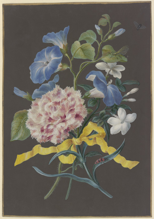 Blumengebinde mit rosa Nelke (Dianthus), blauer Winde (Convolvulus) und weißem Jasmin (Jasminum), mi de Barbara Regina Dietzsch