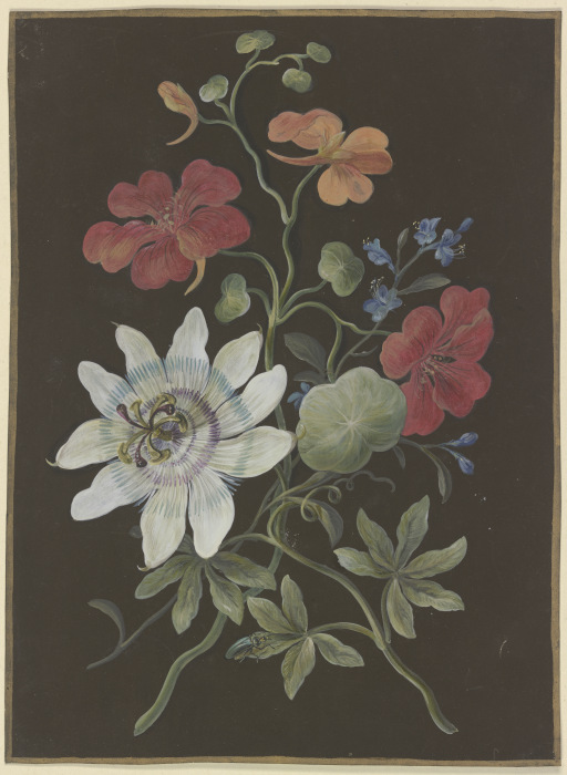 Gesteck aus Passionsblume (Passiflora), roter Kapuzinerkresse (Tropaeplum) und Vergißmeinnicht (Myos de Barbara Regina Dietzsch