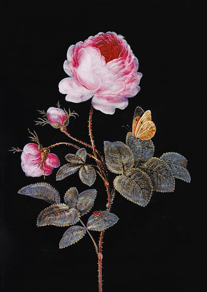 The one hundred flaky rose de Barbara Regina Dietzsch