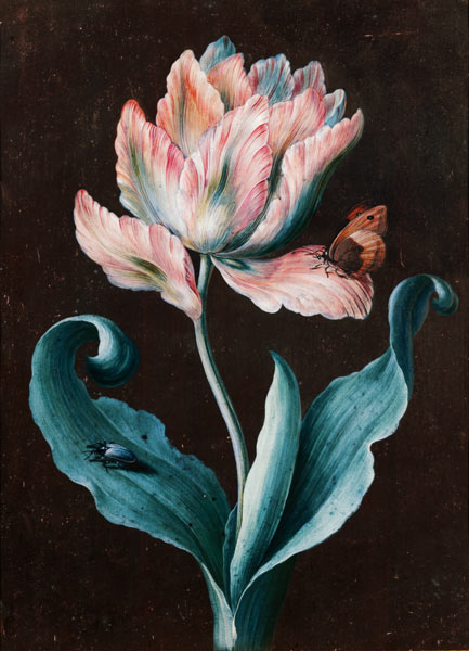 Parrot Tulip with Butterfly and Beetle (gouache) de Barbara Regina Dietzsch