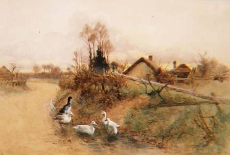 Dabbling Ducks de Benjamin D. Sigmund