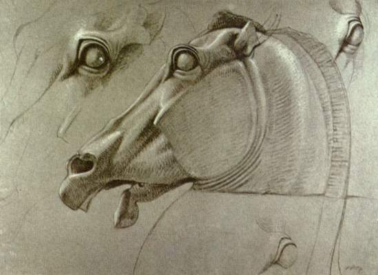 Head of the horse the Selene de Benjamin Robert Haydon