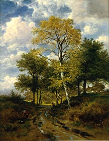 Woodland path in Worchestershire after a downpour. de Benjamin Williams Leader