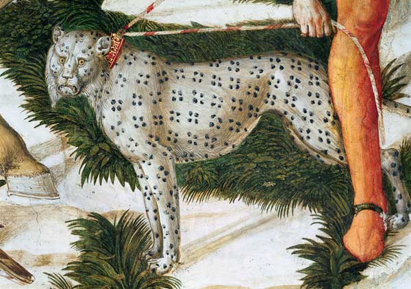 Leopard straining on a leash, detail from the Journey of the Magi cycle in the chapel de Benozzo Gozzoli
