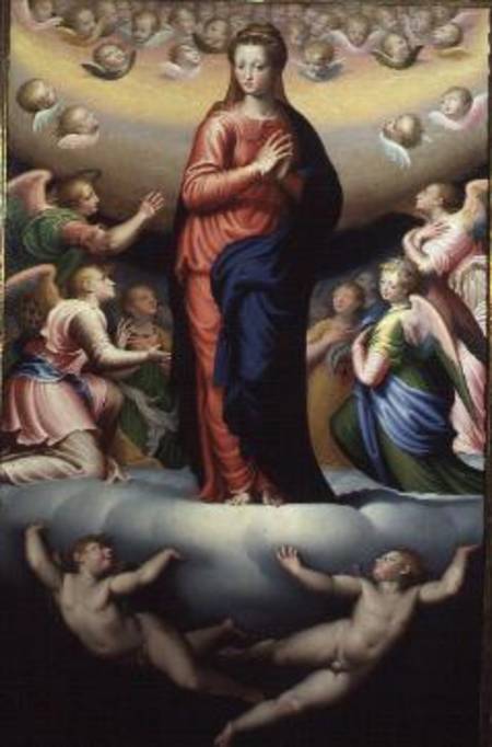 Madonna in Glory de Bernardino Campi