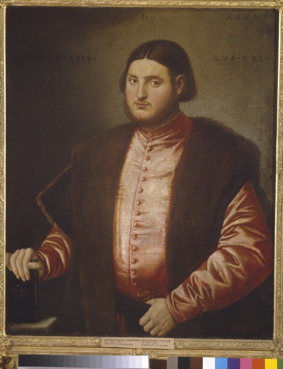 Portrait of a man de Bernardino Licinio