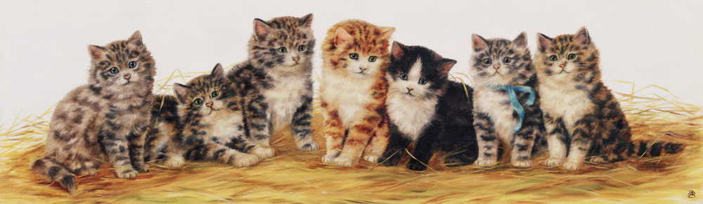 Seven Kittens de Betsy Bamber