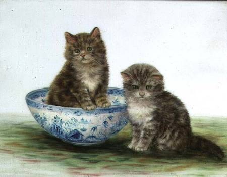 Kitten in a Blue China Bowl de Betsy Bamber
