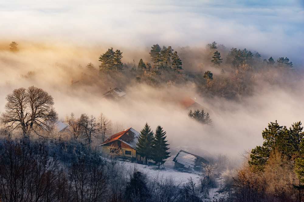 Misty winter days de Bez Dan