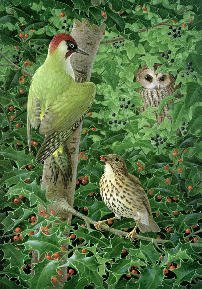 Woodpecker, Owl and Thrush de Birgitte  Hendil