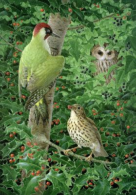Woodpecker, Owl and Thrush