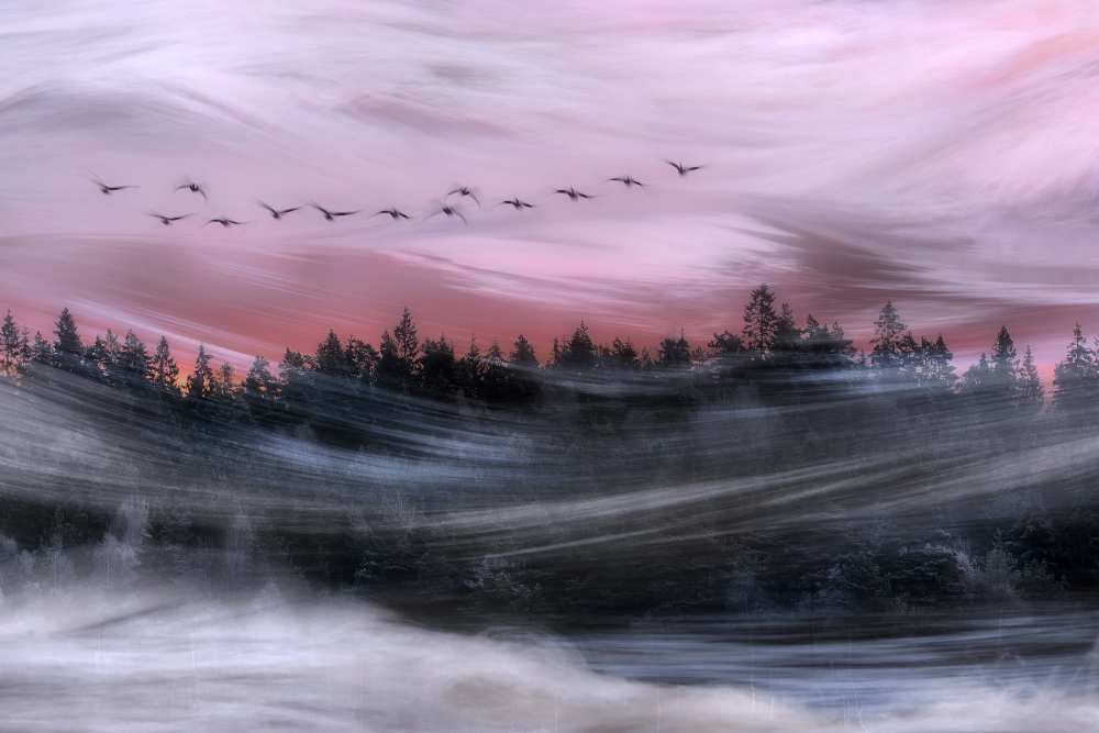Leaving at dawn de Bjorn Emanuelson