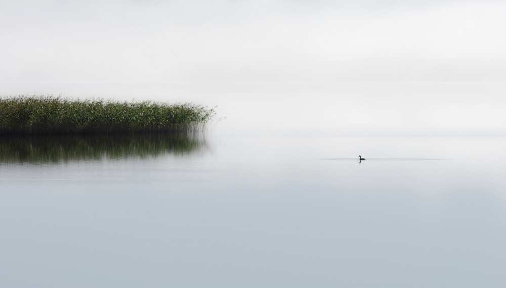 The lone fisher de Bjorn Emanuelson