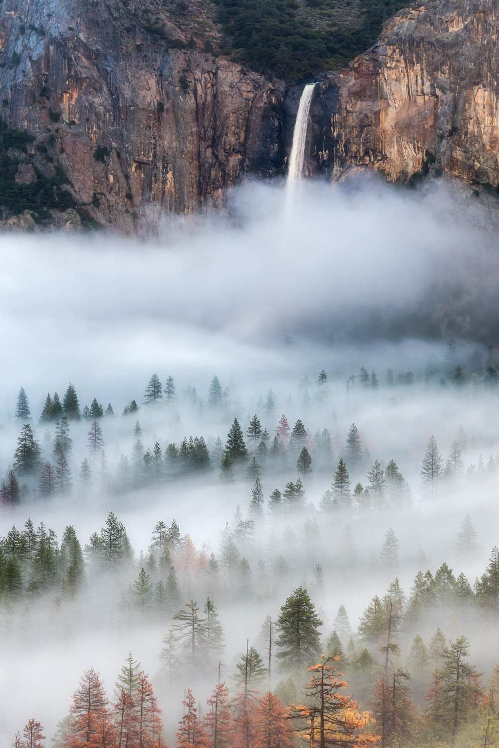 Mist Falls de Brandon Yoshizawa