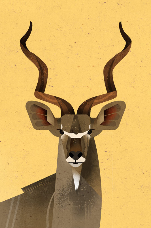 Big Kudu de Dieter Braun