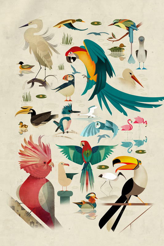 Pájaros de Dieter Braun