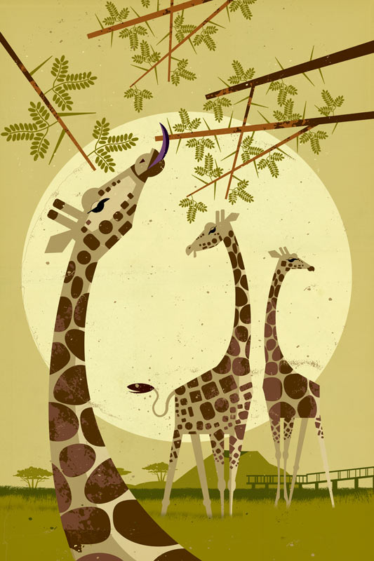 Giraffes de Dieter Braun