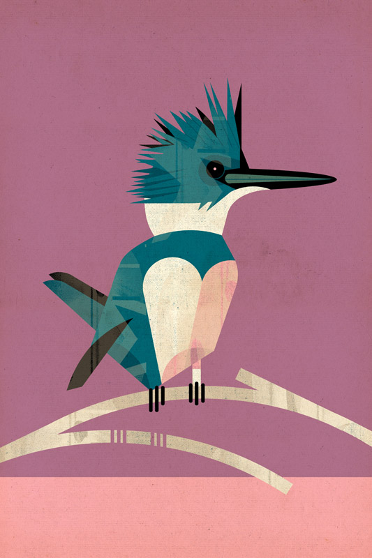Kingfisher de Dieter Braun