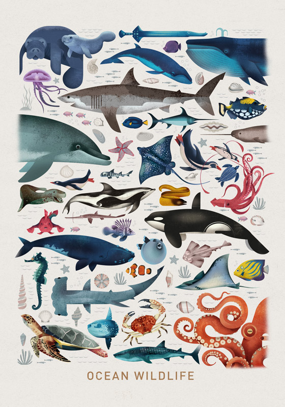 Ocean Wildlife de Dieter Braun