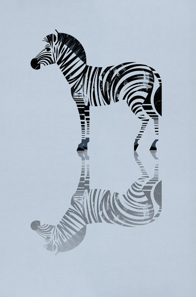 Zebra de Dieter Braun