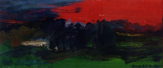 Landscape with a Red Sky de Brenda Brin  Booker