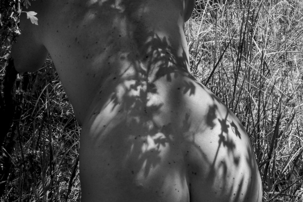 Female back-nude with shadow play de Amelie Breslauer