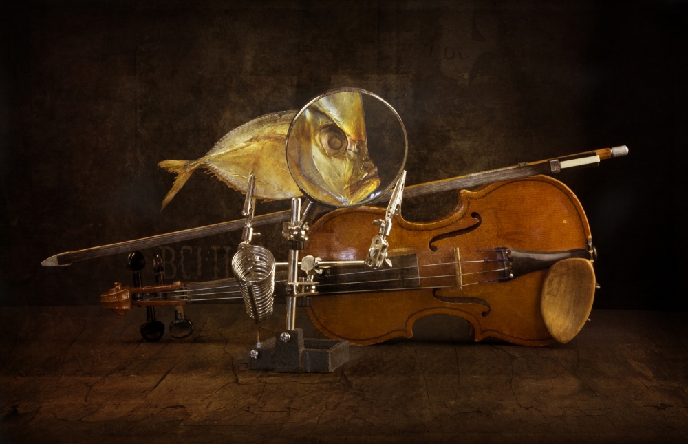 Fish and violin de Brig Barkow