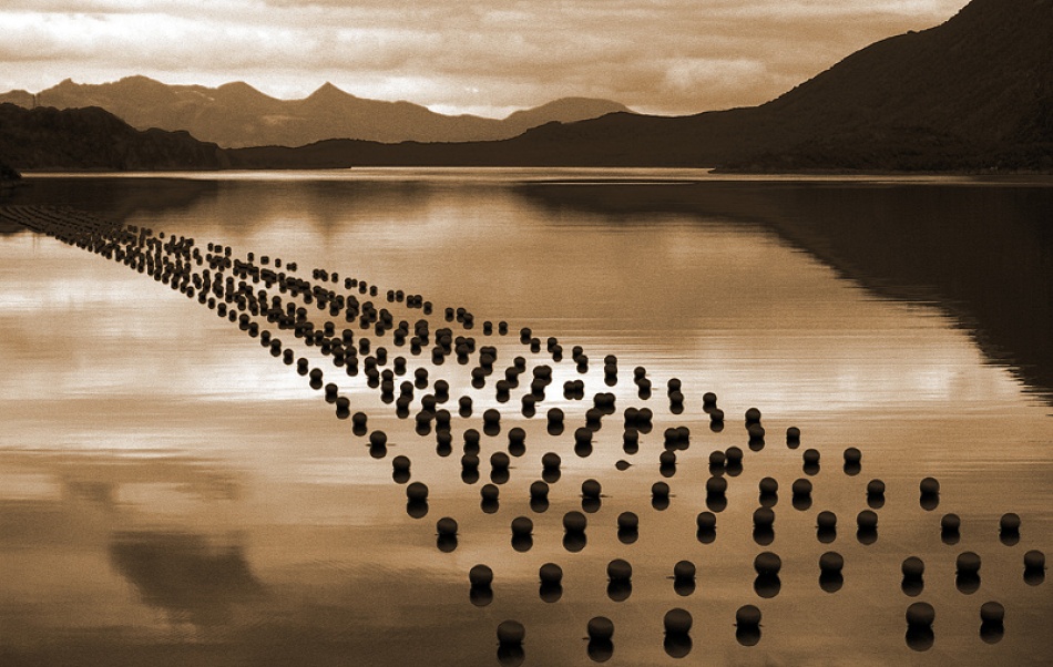 The mussel farm de Bror Johansson