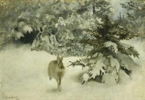 Ein Hase im Schnee