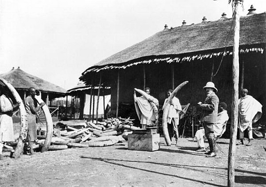 Ivory warehouses in Addis Abeba, Ethiopia, c.1900 ( b/w photo) de C. Chusseau-Flaviens