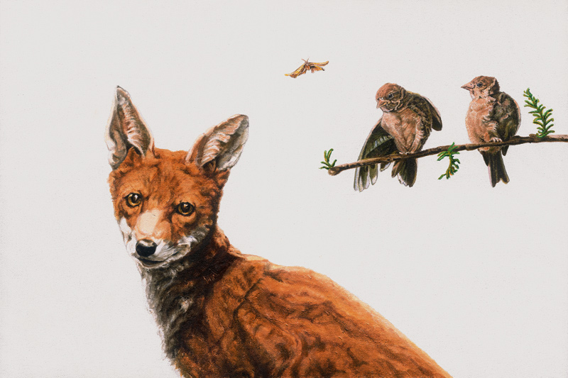 Fox Birds de Maxine R. Cameron