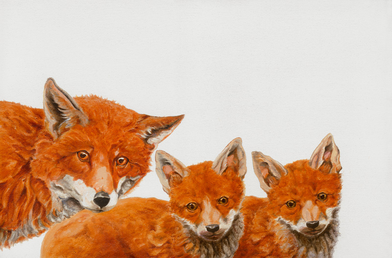 Meet the Foxes de Maxine R. Cameron