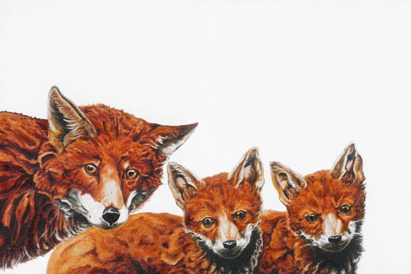 Meet the Foxes 2 de Maxine R. Cameron