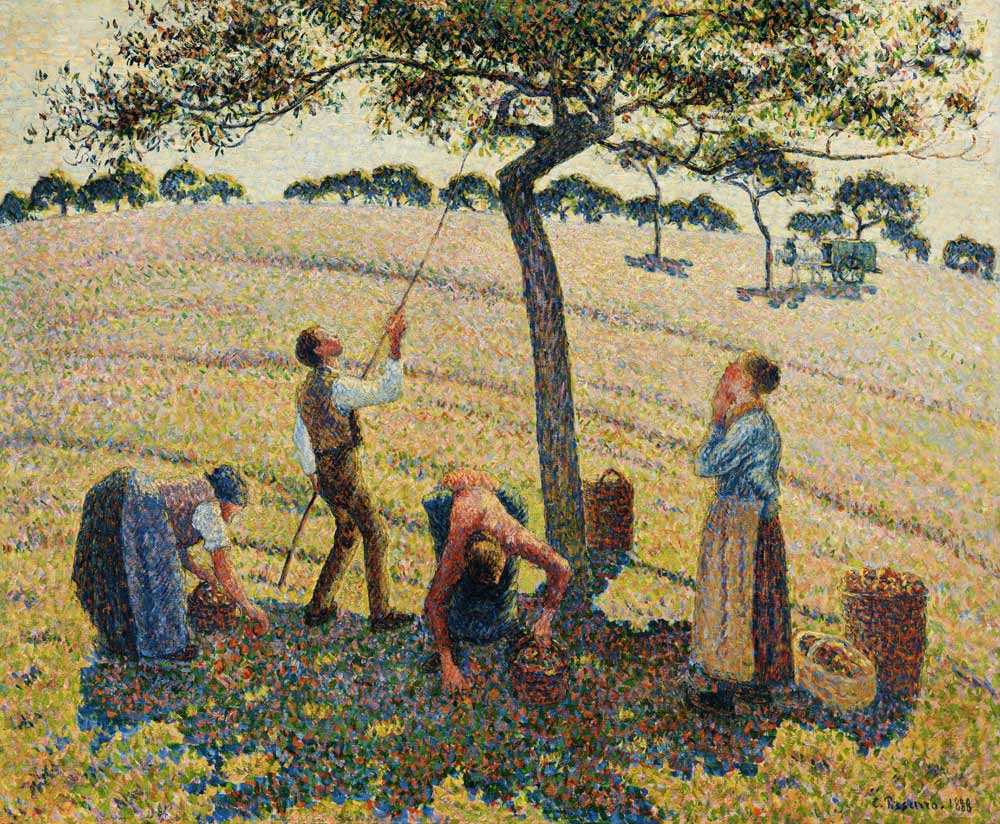 Cosecha de manzanas de Camille Pissarro