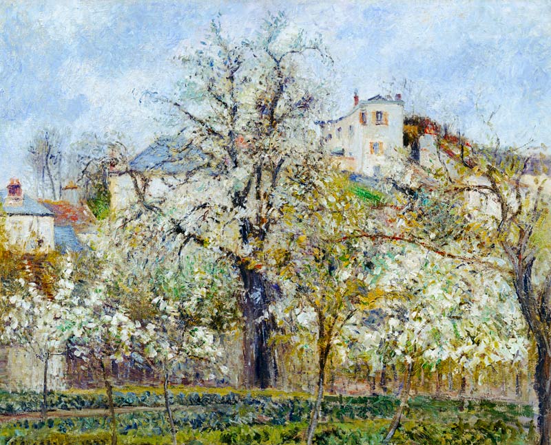 The Vegetable Garden with Trees in Blossom, Spring, Pontoise de Camille Pissarro