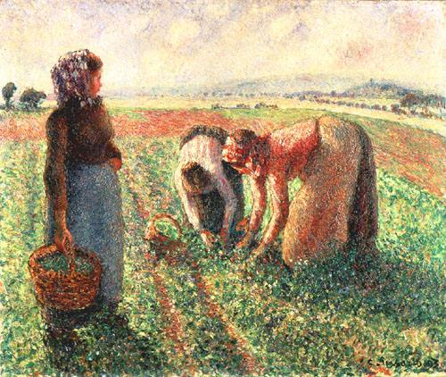 The pea harvest, Eragny de Camille Pissarro