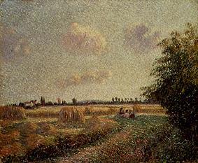 Grain harvest de Camille Pissarro