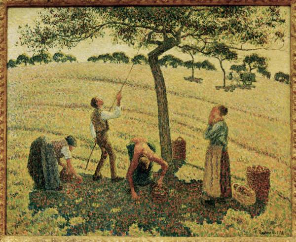 Pissarro / The Apple Harvest de Camille Pissarro