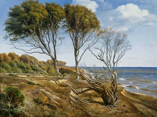 A Coastal Landscape de Carl Aagaard