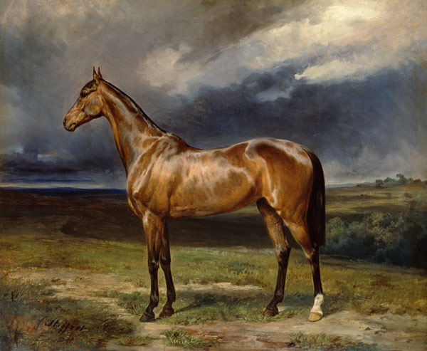 'Abdul Medschid' the chestnut arab horse de Carl Constantin Steffeck